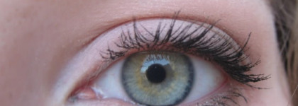 Бабочка от L'oreal или тушь False Lash Effect Papillon Black
