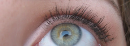 Бабочка от L'oreal или тушь False Lash Effect Papillon Black