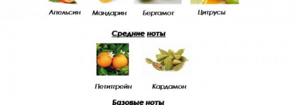 Итальянские каникулы… Туалетная вода Acqua Di Parma Blu Mediterraneo Arancia Di Capri