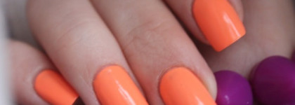 Dance Legend neonic collection №818 "Best Vacations"