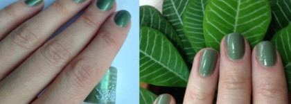 Yves Rocher Vernis Nail Polish 72. Grege nacre: Мой первый зеленый