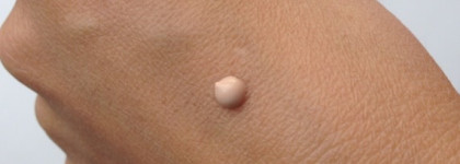 Shiseido Refining Makeup Primer SPF 20 PA+ 30g