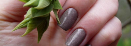 Dance Legend - Melange №266