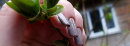 Dance Legend - Melange №266