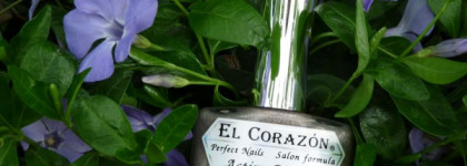 El Corazon Active Bio-gel №423/39 prisma