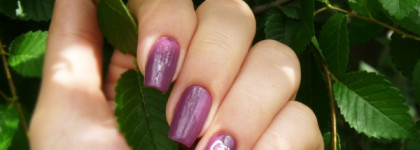 El Corazon - Charm and Beauty №861 + слайдер-дизайн