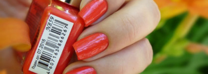 El Corazon - Charm and Beauty №859