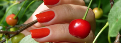 El Corazon - Charm and Beauty №859