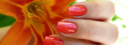 El Corazon - Charm and Beauty №859