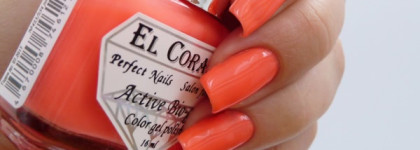 El Corazon Active Bio-gel Jelly Neon Nail Polish 423/251-423/254