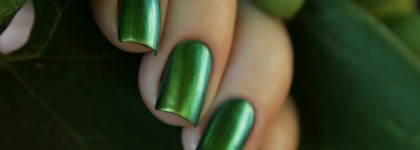 Dance Legend Chameleon Collection №095 Wazowski