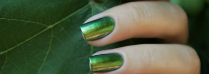 Dance Legend Chameleon Collection №095 Wazowski