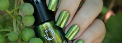 Dance Legend Chameleon Collection №095 Wazowski