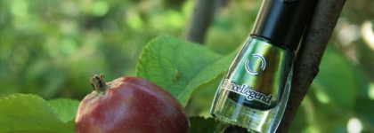 Dance Legend Chameleon Collection №095 Wazowski