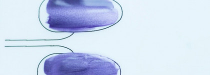 Dance Legend Magnetic №623