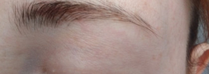 Seventeen Longstay Eye Brow Shaper №5 Chestnut