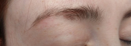 Seventeen Longstay Eye Brow Shaper №5 Chestnut