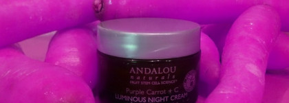 Фиолетовая морковь в Andalou Naturals, Luminous Night Cream, Purple Carrot + C
