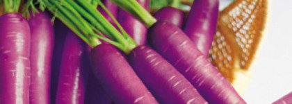 Фиолетовая морковь в Andalou Naturals, Luminous Night Cream, Purple Carrot + C