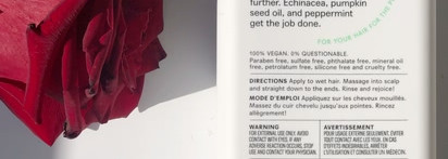 Acure, Шампунь для объема Vivacious Volume, перечная мята и эхинацея, 12 ж. унц. (354 мл)