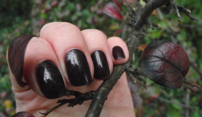 Picture Polish Nail Polish Bewitch