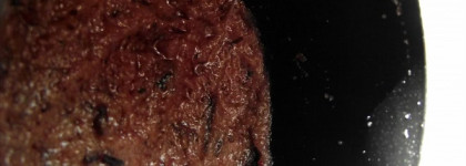 Organic Kitchen для жирной кожи: пустышка или достойные средства за копейки?