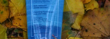 Итоги очищения 2015