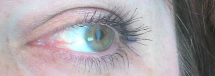 Новая любимица Shiseido Perfect Mascara Full Definition BK 901