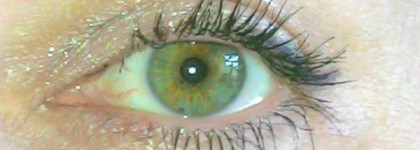 Новая любимица Shiseido Perfect Mascara Full Definition BK 901