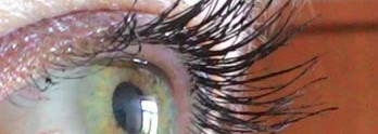 Новая любимица Shiseido Perfect Mascara Full Definition BK 901