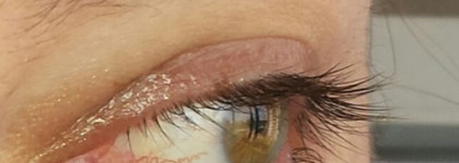 Новая любимица Shiseido Perfect Mascara Full Definition BK 901