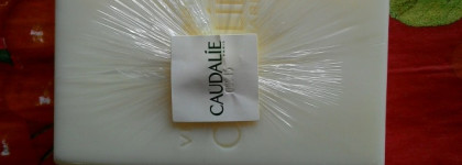 Комбинированная кожа и Caudalie