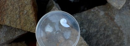 Скульптинг-маска  "Анти Эйдж Фрэш" линии Секрет красоты от БиоБьюти