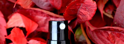 Борьба с патологическим облысением и алопецией. Часть первая