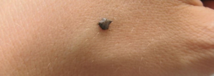 Бровей творенье. Лучшие средства для исправления ошибок молодости от Mufe и Beyu