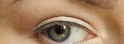 Подводка Vivienne Sabo Liner Feutre Fin Eyeliner 701