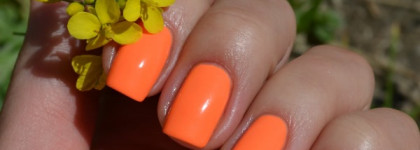 Vipera Cosmetics High Life Nail Polish #  819