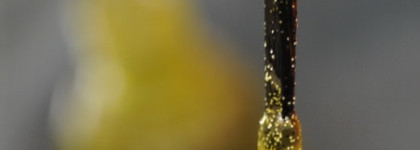 Лак для ногтей Dance Legend Caviar Polish № 1002 "Yellow boxfish"