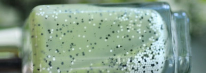 Лак для ногтей El Corazon Active Bio-gel Fenechka #423/134