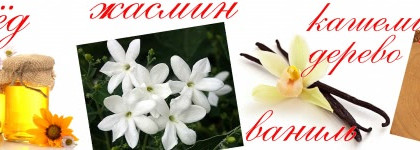 "Alien Essence Absolue" от  Thierry Mugler