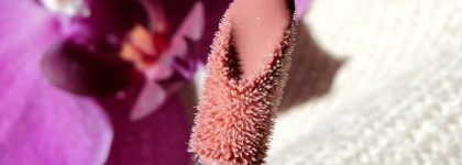 Уютный бежевый - Rouge Dior Brillant Lipshine & Care Couture Color # 310 Paname