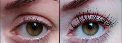 Тушь L'Oreal Volume Million Lashes black  и Volume Million Lashes Feline  black. Пост-сравнение