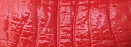 Яркая, горячая, капризная. Shiseido Perfect Rouge RD 553