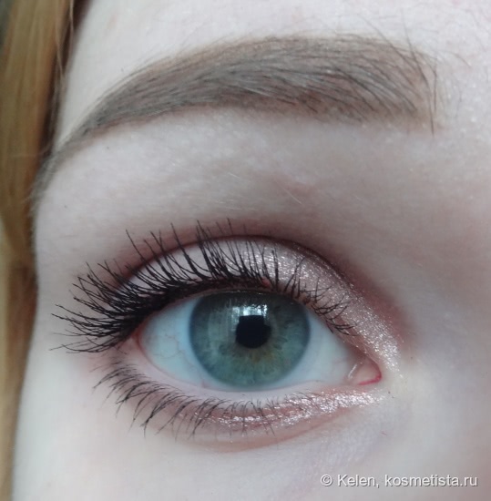 Maybelline Eye studio Color tatto 24h Leather in 90 Vintage Plum