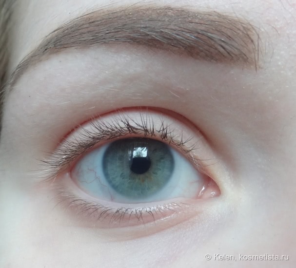 Maybelline Eye studio Color tatto 24h Leather in 90 Vintage Plum