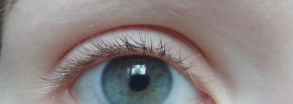 Maybelline Eye studio Color tatto 24h Leather in 90 Vintage Plum