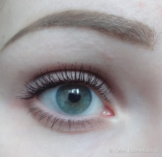 Maybelline Eye studio Color tatto 24h Leather in 90 Vintage Plum