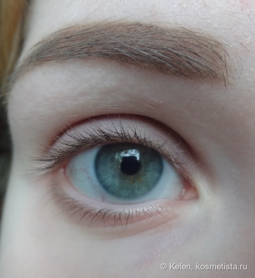 Maybelline Eye studio Color tatto 24h Leather in 90 Vintage Plum