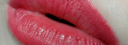 Кровавое вино. Bourjois Rogue Edition Lipstick #14 Pretty Prune