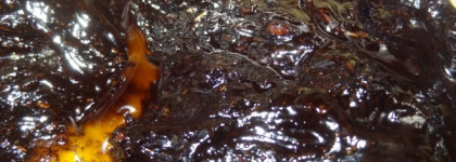 Продолжение знакомства со СпивакЪ - 3 новых продукта